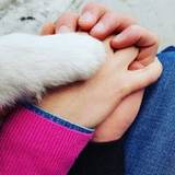 Sandra