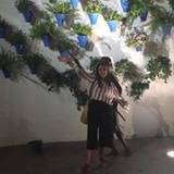 Pilar