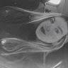 Nerea