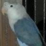 María