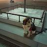Alberto