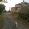 Belen