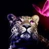 Jorge