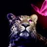 Jorge
