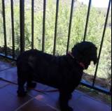 María