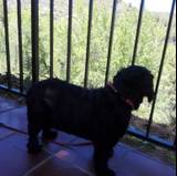 María