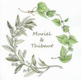 Muriel