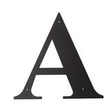 Alejandro