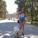 Gema