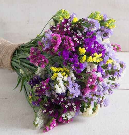  De flores silvestres va el asunto... - 1