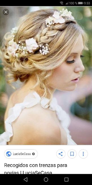 Peinado con trenzas - 2
