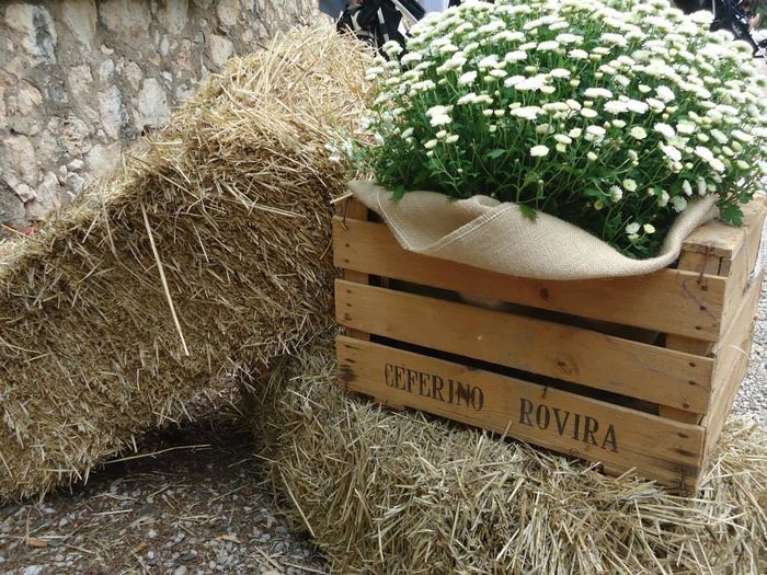 decoracion floral 