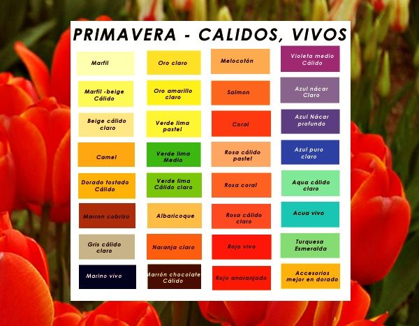 Grupo de estilismo PRIMAVERA