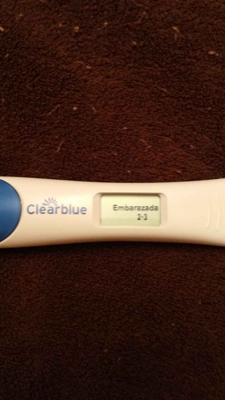 Buscadoras después de uno o varios abortos  - 1