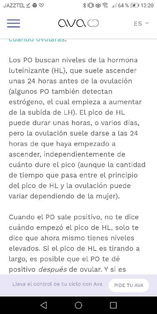 Buscadoras Marzo 2020 - 1
