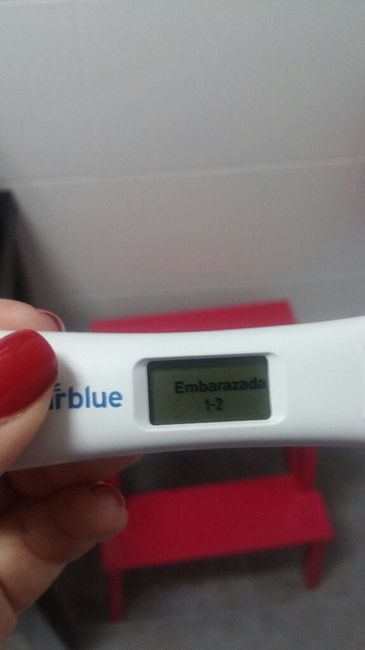 Buscadoras después de uno o varios abortos ii - 2