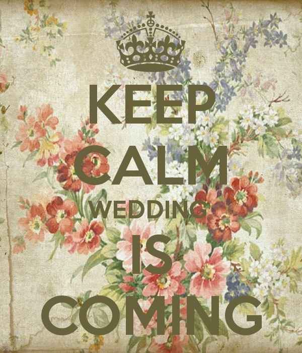 Ya llega....=)