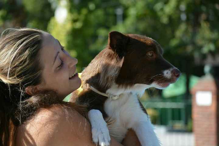Preboda con nuestras mascotas??? - 1