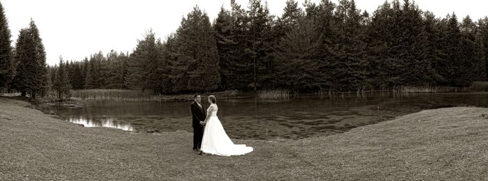 Panorámica postboda