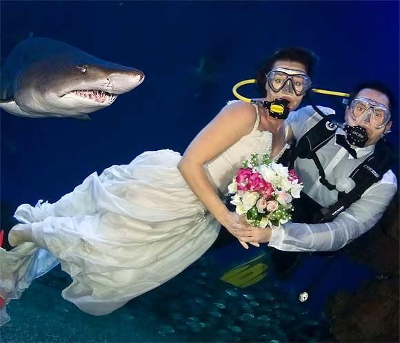 Boda Acuática