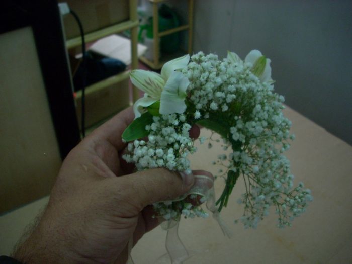 Pulsera de paniculata