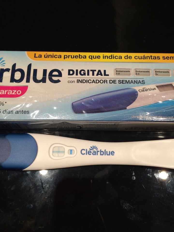 Buscadoras octubre 2016 - 3