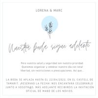 Necesito vuestro consejo urgente! - 2