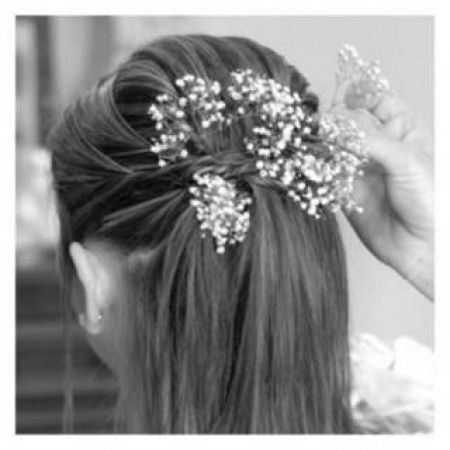 Semirecogido con trenzas