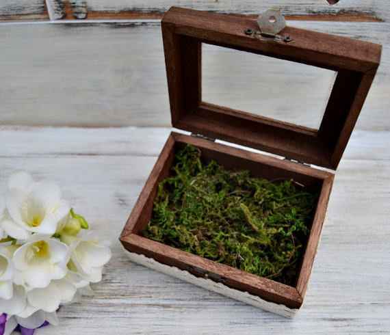 caja de alianzas