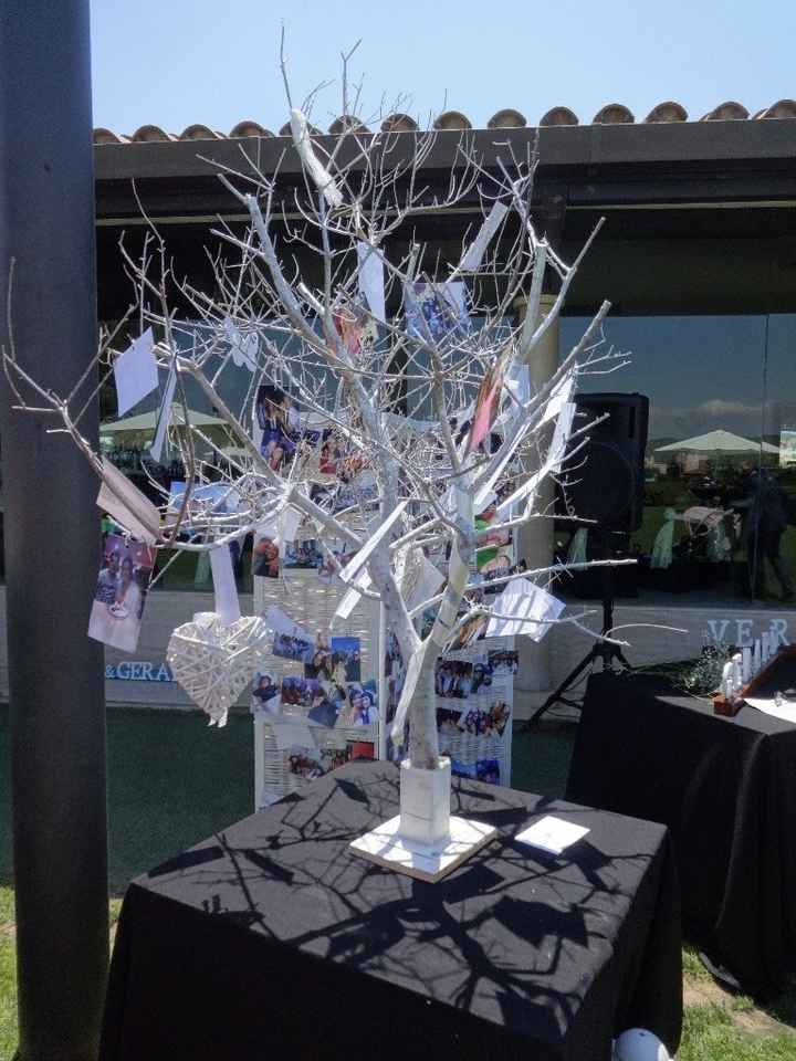 arbol fotos