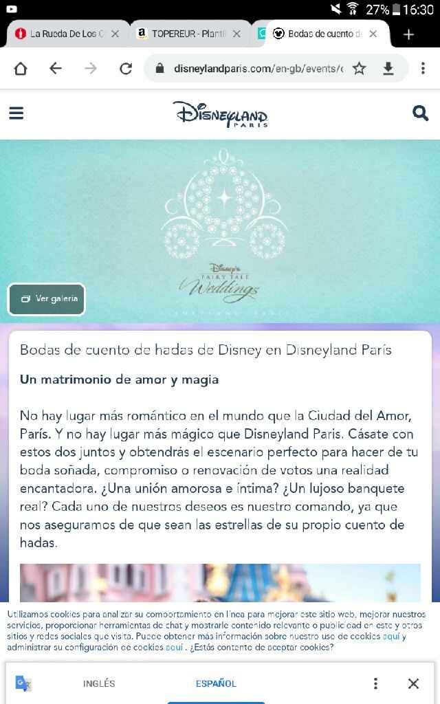 Post boda en disneyland - 1
