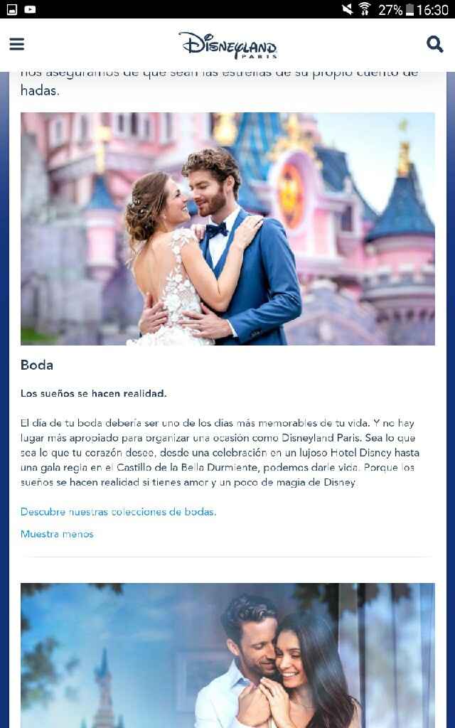 Post boda en disneyland - 2