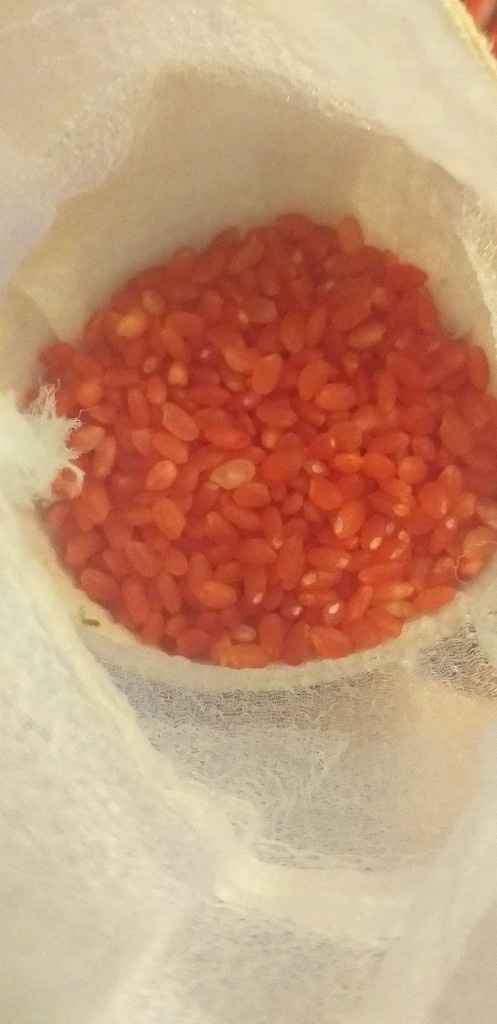 Conos con arroz terminados🥰 - 5