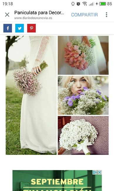 Flores????? - 1