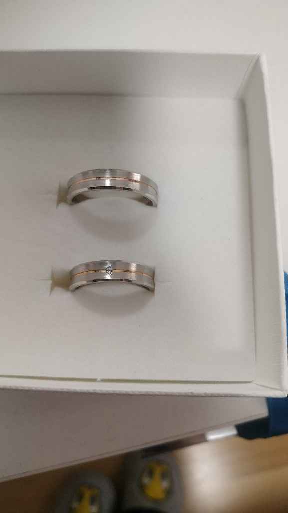 Ya tengo las alianzas - 1