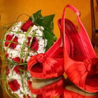 Mi ramo y mis zapatos