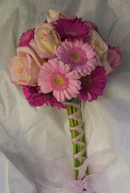 gerberas