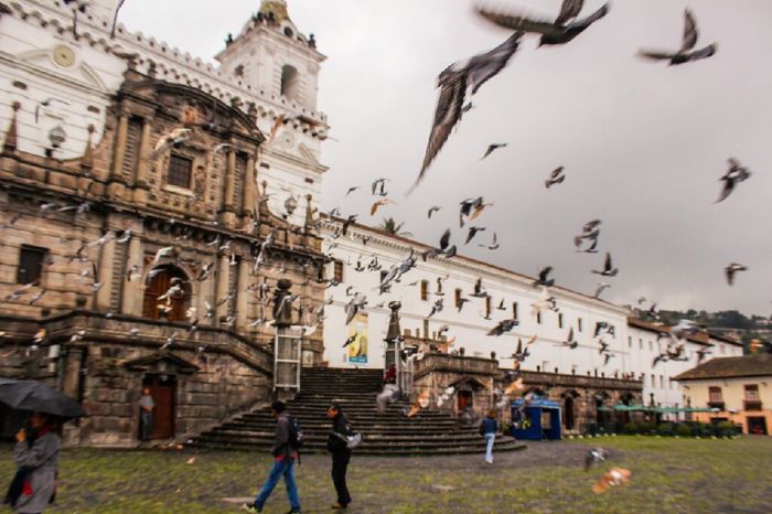 A 38 dias y no sabemos donde ir! - 7