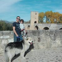 No sin mis perros!! - 1