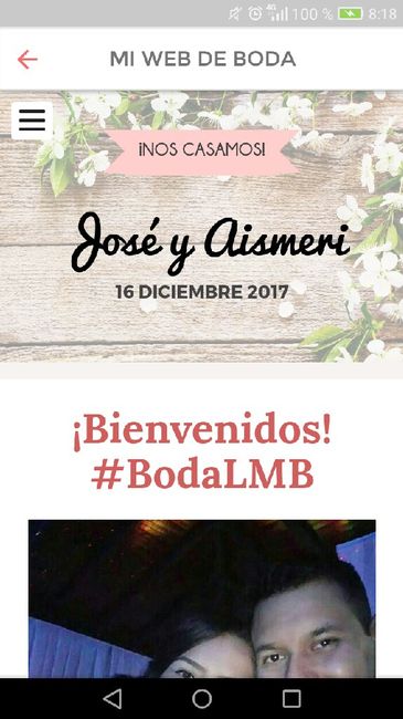  Confundida con mi web de boda. - 1