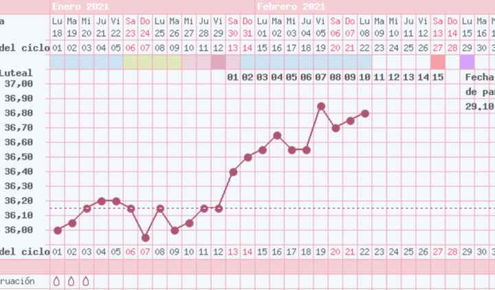 Buscadoras febrero 2021 💜👶🏻✨ - 1