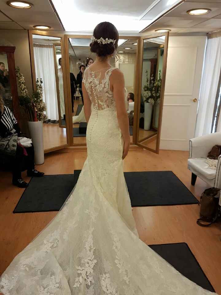 Prueba del vestido - 1