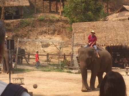 Por que elegir las maldivas? por que elegir tailandia? - 2