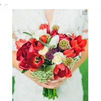 Os gustan los tulipanes como para un ramo ? - 1