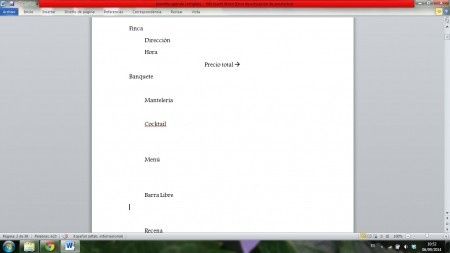 Esto son pantallas del formato word de la agenda 