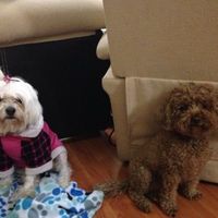 Nuestras mascotas!! - 2