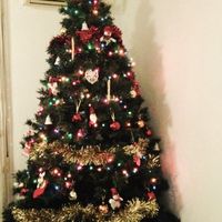 Mi Árbol de navidad!!!  - 1