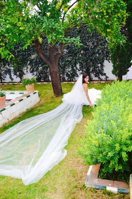 Fotos de velos - 1