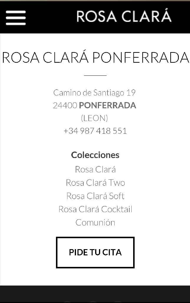 Rosa clará en león - 1