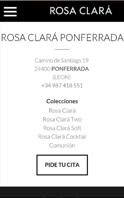 Rosa clará en león - 1